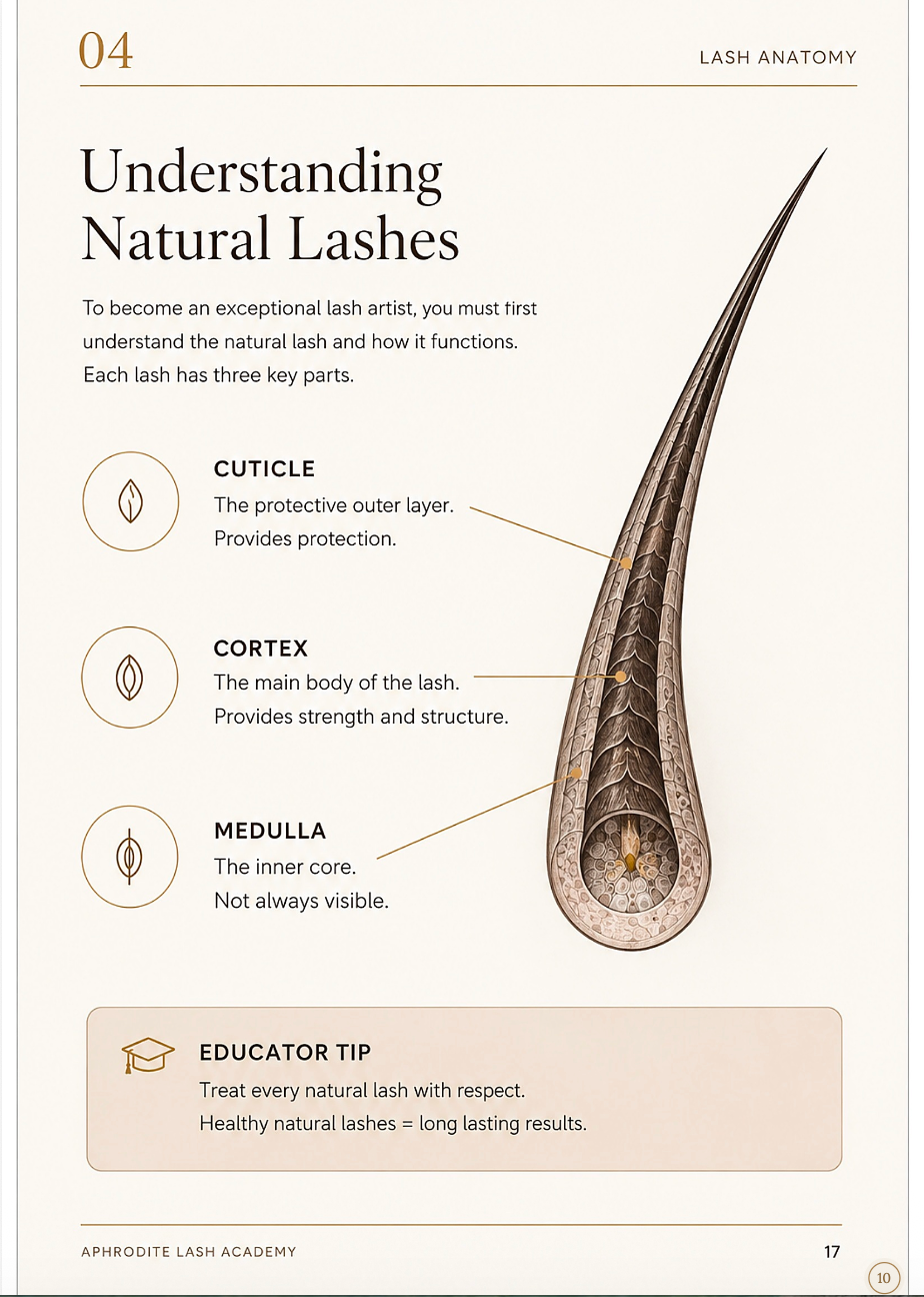 The Aphrodite Lash Bible™